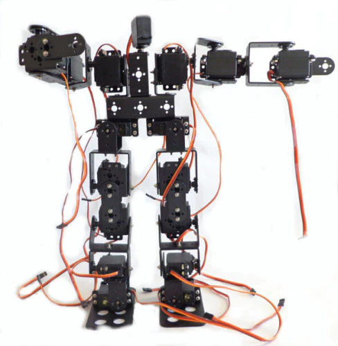 17 DOF Bipedal Humanoid Robot - Image 2