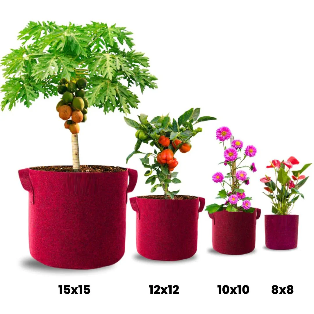 Geo Fabric Grow Bags For Plants - Image 2
