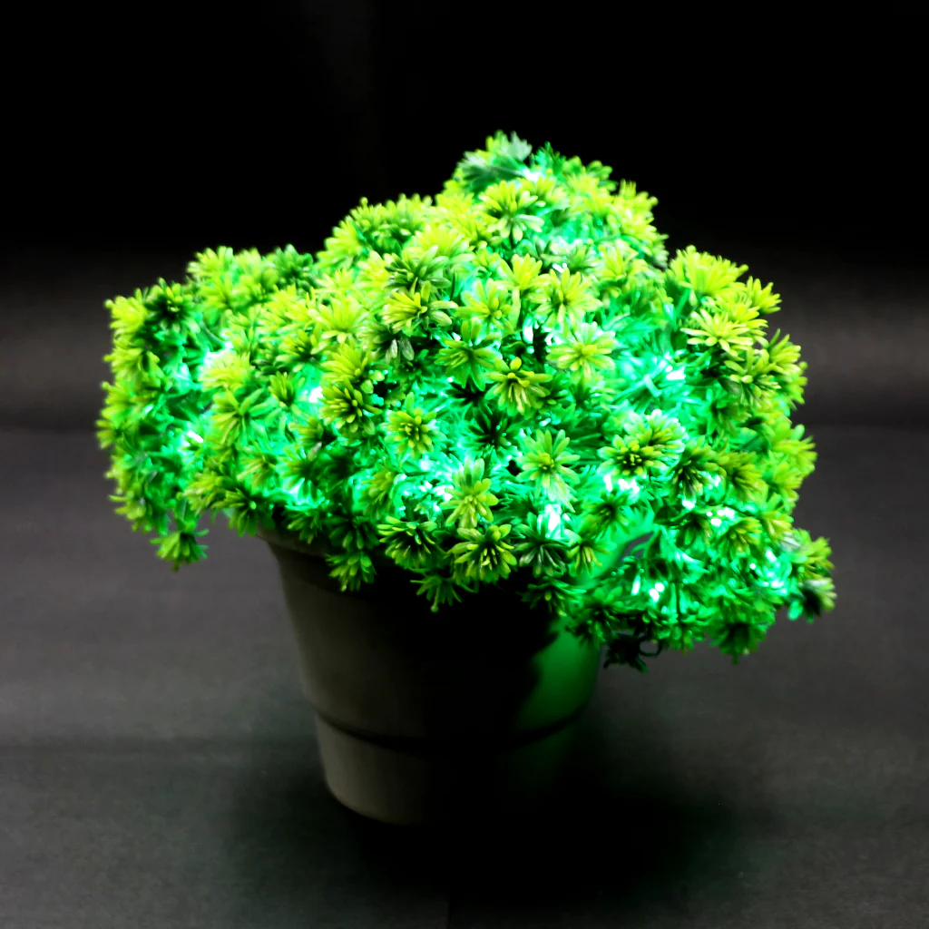 Small Green Flowers 60 LED String Fairy Lights