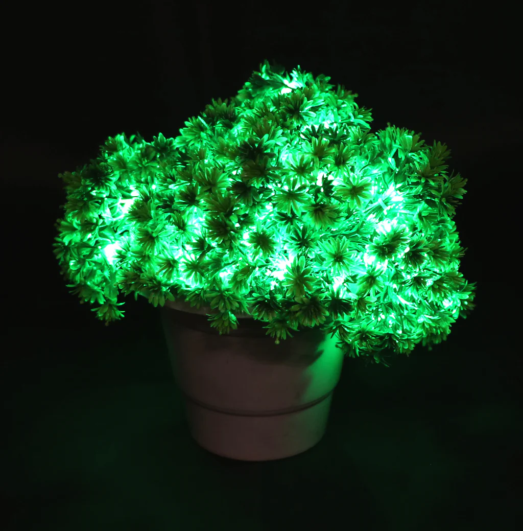 Small Green Flowers 60 LED String Fairy Lights - Image 7